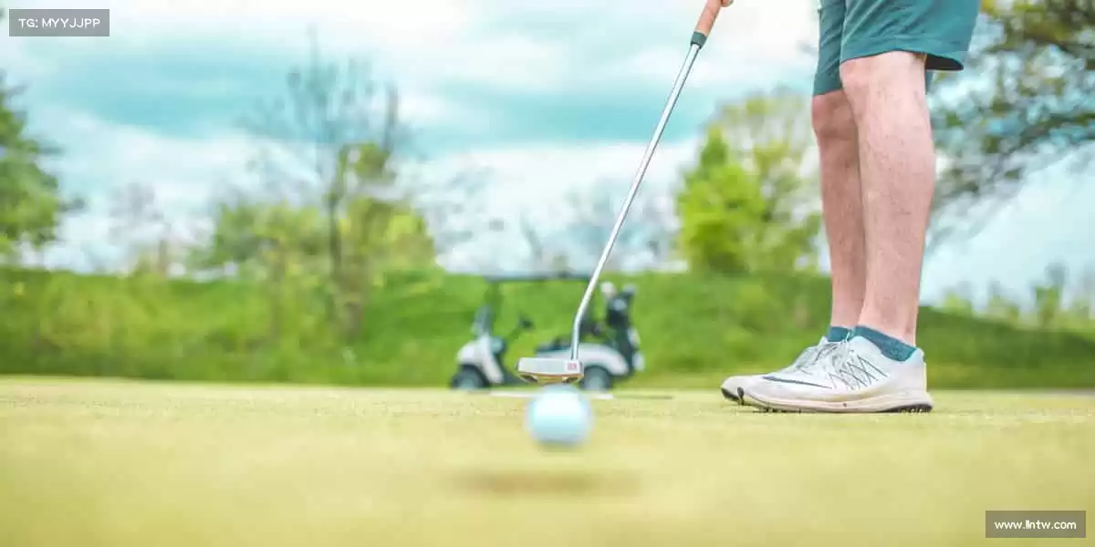 行业领先的理由